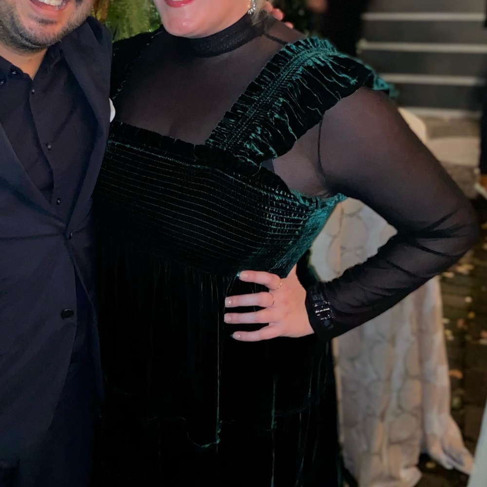 Hill House Dark Green Velvet Dress - Picture 3 of 3